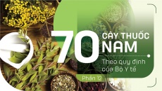 Thuốc Nam trong vườn: 5 loại cây giúp thanh nhiệt trong những ngày Tết ngập cỗ bàn
