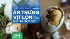 Podcast: Thật hư thông tin ăn trứng vịt lộn cải thiện sinh lý nam giới