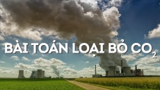 Loại bỏ carbon dioxide: Hướng dẫn thực hành tốt cho doanh nghiệp