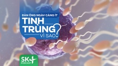 Podcast: Đàn ông ngày càng ít tinh trùng, vì sao?