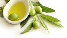 Lá olive và những công dụng cho sức khoẻ 