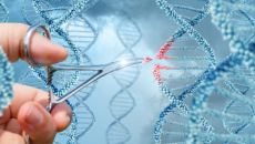 Những tiến bộ mới nhất của liệu pháp tế bào và gene 