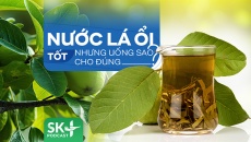 Podcast: Nước lá ổi tốt nhưng uống sao cho đúng?