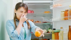 Đừng để tủ lạnh thành ổ chứa vi khuẩn