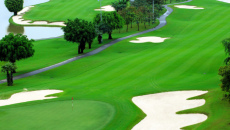 Sống gần sân golf tăng nguy cơ mắc bệnh Parkinson?