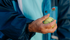 Bài kiểm tra đơn giản với bóng tennis giúp bạn dự đoán tuổi thọ