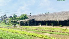 Hội An: Không chỉ là du lịch phố cổ!