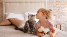 “Sen” có biết mèo cưng thích gì?