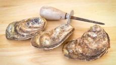 4 thực phẩm giúp tăng ham muốn tình dục