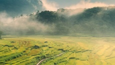 Cẩm nang du lịch Pù Luông