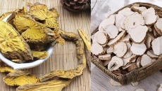 Thu hồi loạt dược liệu Bạch chỉ, Hoàng Đằng kém chất lượng 
