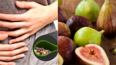 Mới bị sỏi mật, uống quả sung có khỏi không?