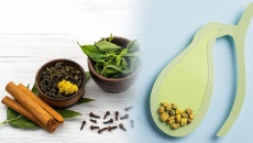 Sỏi túi mật 25mm, đang cho con bú có dùng thuốc Đông y được không?