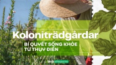 Koloniträdgårdar - Bí quyết sống khỏe từ Thụy Điển