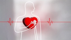 Tại sao người bệnh rung nhĩ có nguy cơ cao bị đột quỵ?