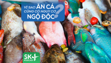 Podcast: Vì sao ăn cá cũng có nguy cơ ngộ độc?