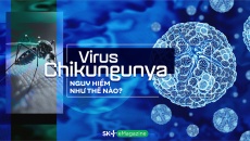 Virus chikungunya nguy hiểm như thế nào?