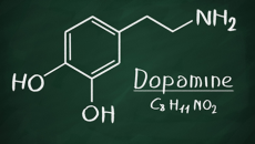 8 cách tự nhiên giúp tăng nồng độ dopamine