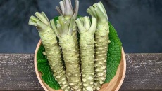 Wasabi: Không chỉ là gia vị cay mà còn tốt cho sức khỏe