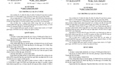 Công ty Đại Cát Á bị phạt 270 triệu đồng, tiêu hủy hàng chục sản phẩm