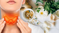 6 thảo mộc giúp tuyến giáp hoạt động nhịp nhàng hơn