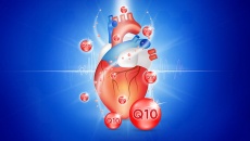 Bổ sung Co-enzyme Q10 có lợi với tim mạch ra sao?
