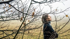 Thiên nhiên dạy con người vượt qua trầm cảm theo mùa 