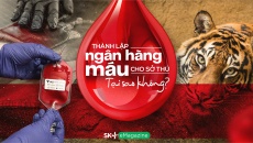 Thành lập ngân hàng máu cho sở thú: Tại sao không?
