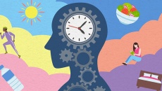 Thiết lập lại “nhịp sinh học” để bảo vệ sức khỏe toàn diện