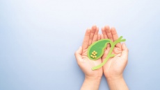 Có sỏi mật 20mm, dùng TPBVSK Kim Đởm Khang hỗ trợ được không?