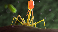 Công nghệ mới giúp tiêu diệt 99,9% vi khuẩn trong thực phẩm