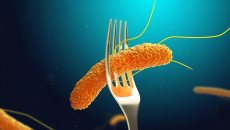 TP.HCM: Đã tìm ra 'thủ phạm' khiến hơn 80 người ngộ độc sau ăn bánh mì 