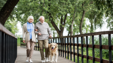 Học bí quyết giữ sức khỏe từ 5 bác sĩ tuổi ngoài 60 