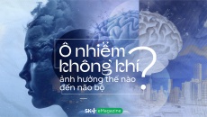Ô nhiễm không khí ảnh hưởng thế nào đến não bộ?