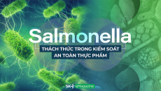 Salmonella - Thách thức trong kiểm soát an toàn thực phẩm 