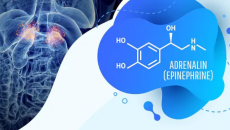 Tìm hiểu chung về loại hormone gây tăng huyết áp, tim đập nhanh