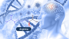 Nghiên cứu về dưỡng chất arginine mở ra hy vọng trì hoãn bệnh Alzheimer