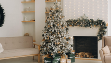 Lựa chọn cây thông Noel thật hay giả để bảo vệ môi trường?