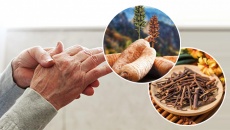 Vai trò của câu đằng và thiên ma trong hỗ trợ giảm run