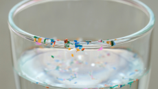 Vi nhựa và hormone: Mối liên hệ đáng lo ngại từ những vật dụng quen thuộc