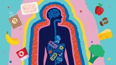 6 thói quen ăn uống khiến hệ vi sinh đường ruột suy yếu