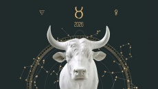 Tử vi cung hoàng đạo Kim Ngưu 2026: Năm để chuyển mình