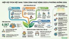 VAFF: Tổng kết năm 2025 và chiến lược làm sạch thị trường TPCN 2026