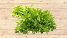 Có nên dùng rau ngổ trị sỏi mật 5,5mm không?