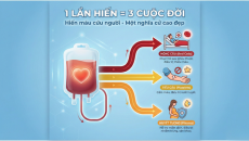 Chuyên gia WHO giải đáp: Vì sao cần hiến máu thường xuyên?