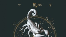 Tử vi cung hoàng đạo Bọ Cạp 2026: Bạn đã sẵn sàng cho một sự chuyển mình? 