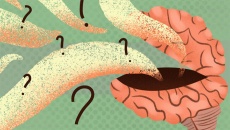 Tìm hiểu cơ chế hoạt động của thuốc ức chế MAO-B trong việc giảm run