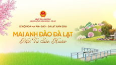 Infographic: Điểm nhấn tại Lễ hội Hoa mai anh đào Đà Lạt 