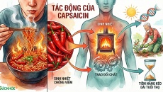 Ăn cay ảnh hưởng thế nào đến quá trình trao đổi chất và tuổi thọ?