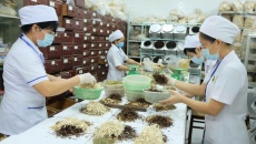 Lần đầu Việt Nam có phác đồ điều trị kết hợp giữa y học cổ truyền và hiện đại